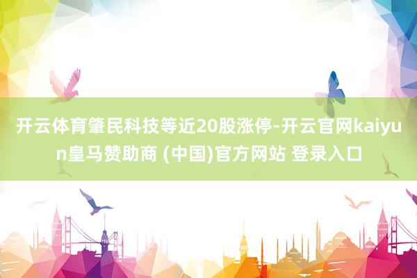 开云体育肇民科技等近20股涨停-开云官网kaiyun皇马赞助商 (中国)官方网站 登录入口